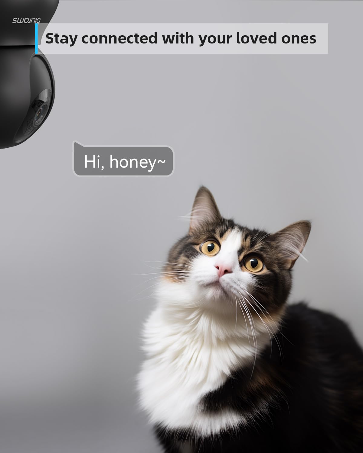 blurams Pet Camera 2K Black, Indoor Camera, Dog Camera, 360° Home Security Camera, 2.4g & 5g, Night Vision, Motion Tracking, 2-Way Talk, Cloud&SD, APP Control, Works with Alexa