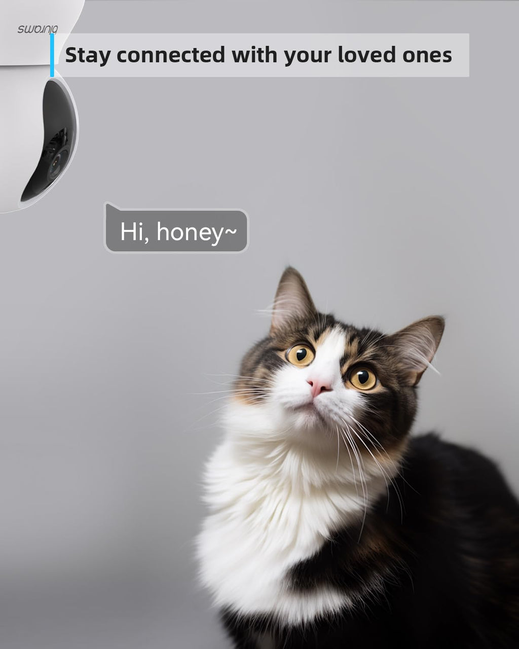 blurams Pet Camera 2K Black, Indoor Camera, Dog Camera, 360° Home Security Camera, 2.4g & 5g, Night Vision, Motion Tracking, 2-Way Talk, Cloud&SD, APP Control, Works with Alexa