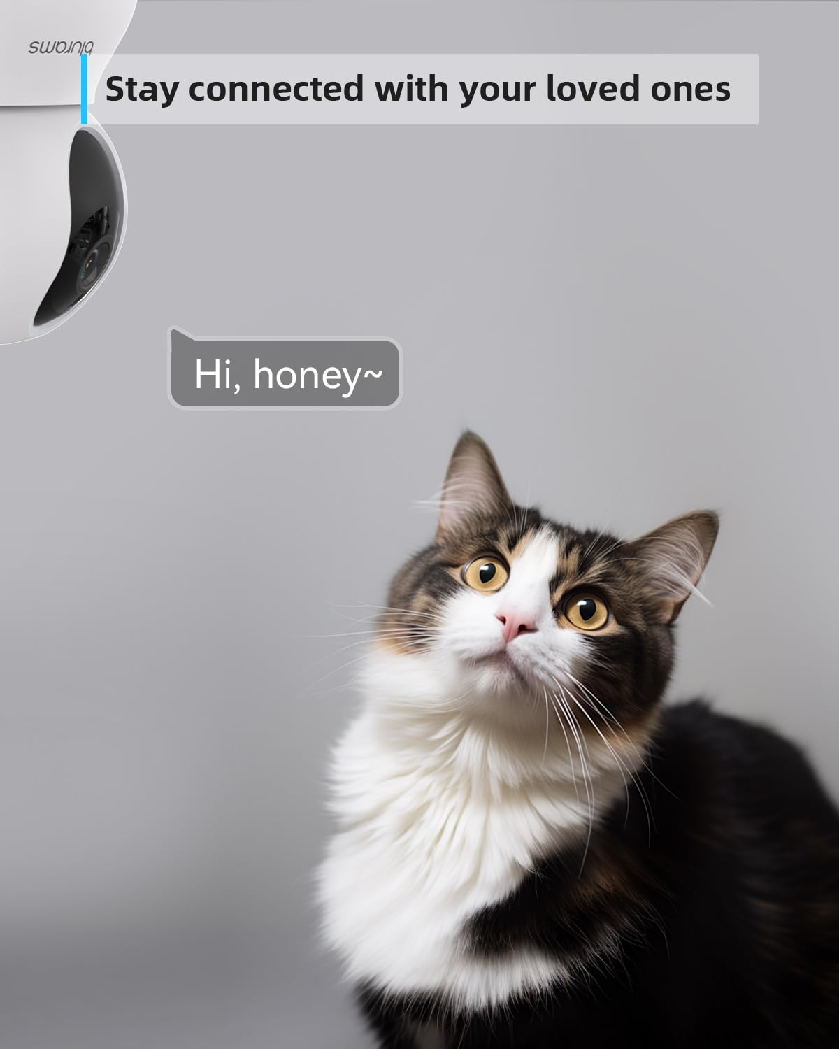 blurams Pet Camera 2K Black, Indoor Camera, Dog Camera, 360° Home Security Camera, 2.4g & 5g, Night Vision, Motion Tracking, 2-Way Talk, Cloud&SD, APP Control, Works with Alexa