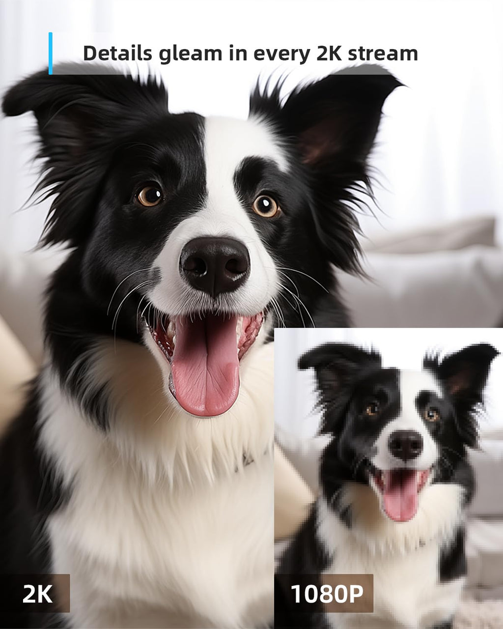 blurams Pet Camera 2K Black, Indoor Camera, Dog Camera, 360° Home Security Camera, 2.4g & 5g, Night Vision, Motion Tracking, 2-Way Talk, Cloud&SD, APP Control, Works with Alexa