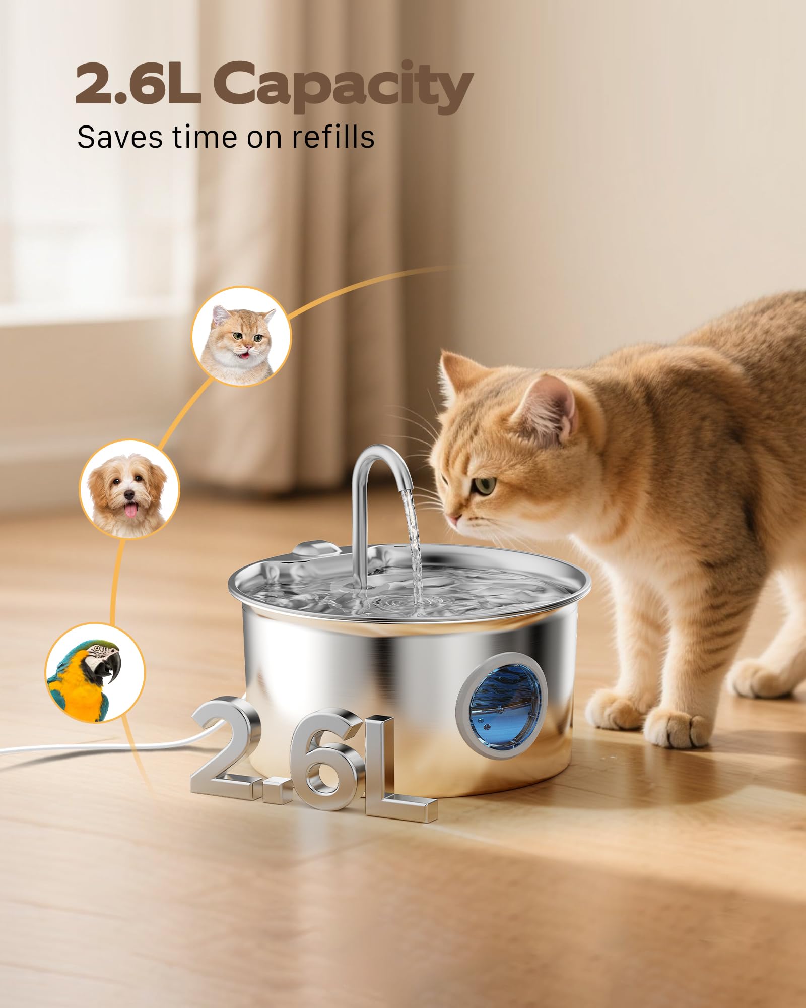 Cat Water Fountain Stainless Steel: Cat Fountain for Drinking - 2.6L Water Fountain Cats Bowl - Silent Pet Drinking Fountain - Pet Water Dispenser with 6 Filters + 3 Sponge Filters